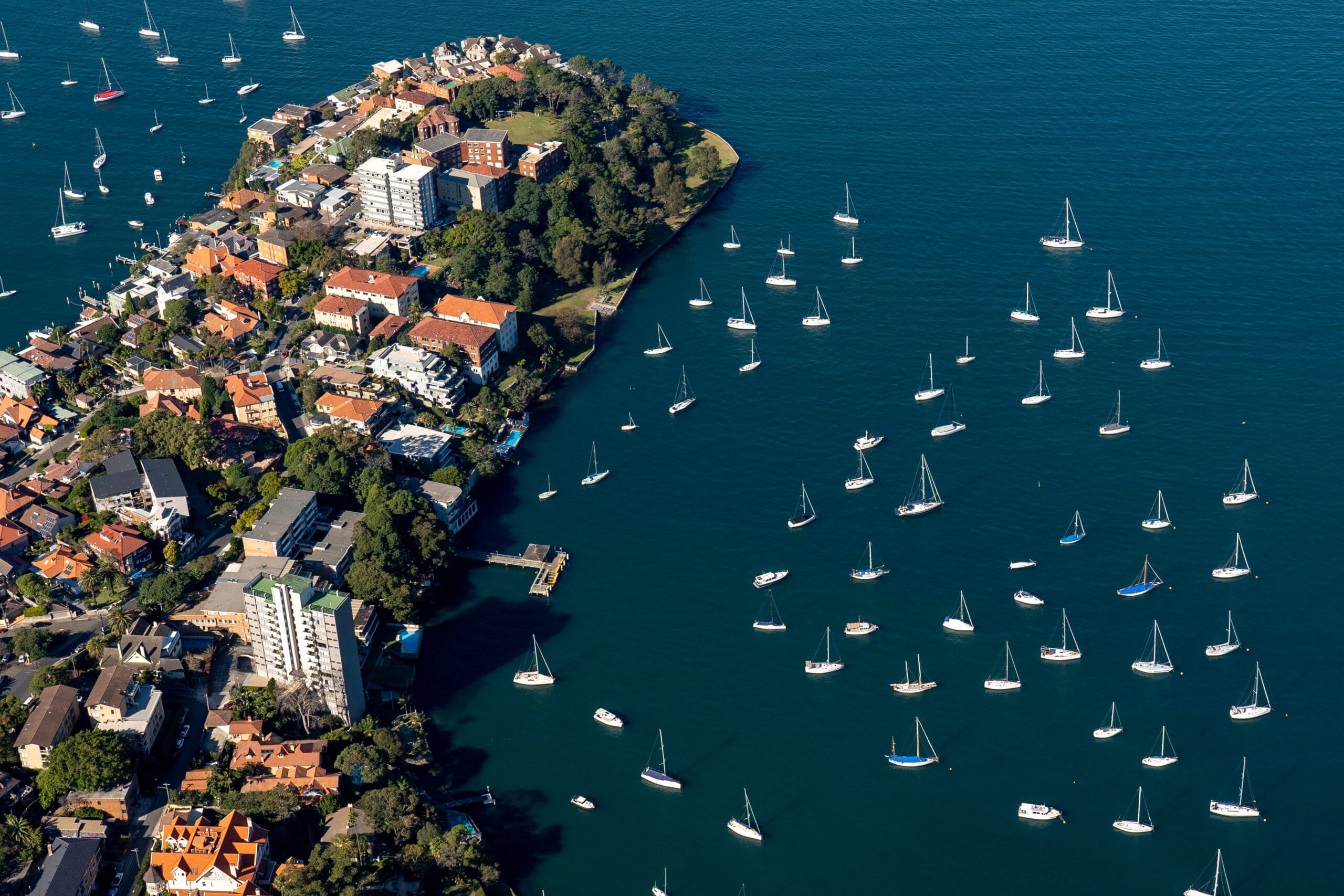 best fish and chips neutral bay